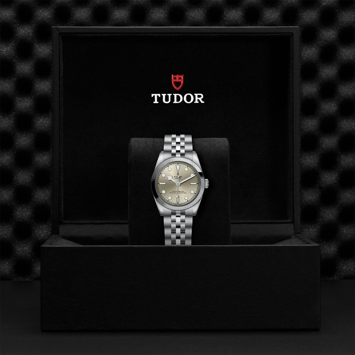 TUDOR Black Bay 31 M79600-0003