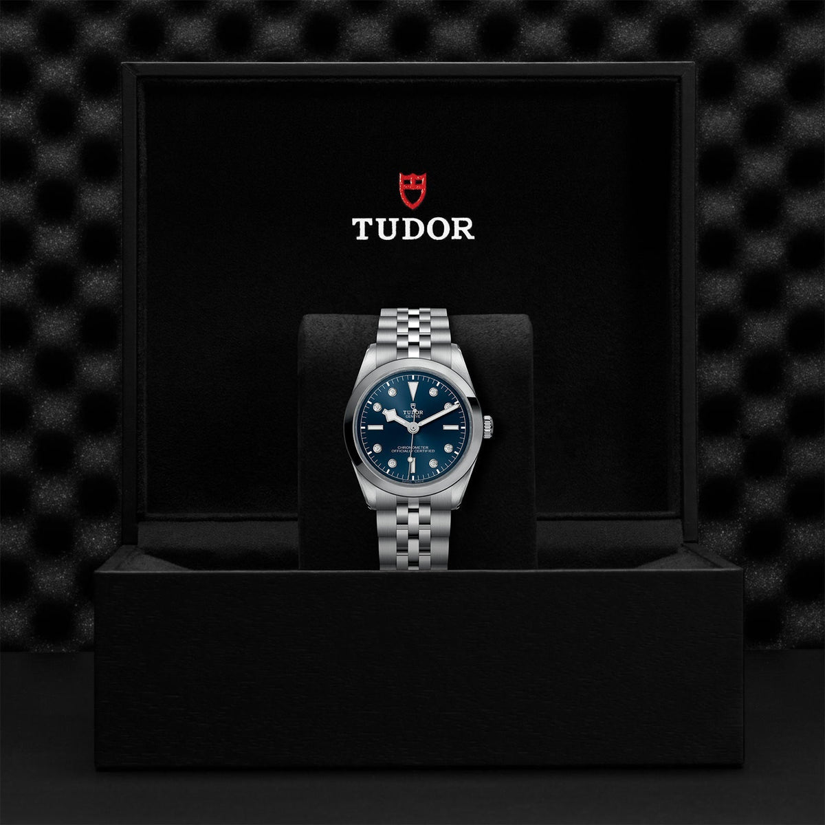TUDOR Black Bay 36 M79640-0005