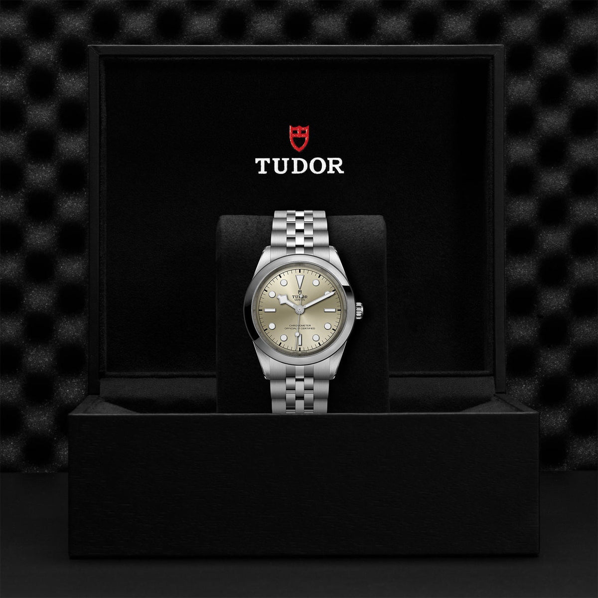 TUDOR Black Bay 41 M79680-0003